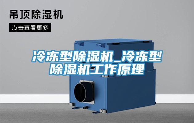 冷凍型除濕機(jī)_冷凍型除濕機(jī)工作原理
