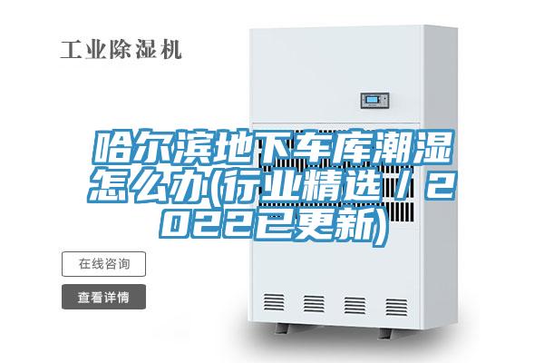 哈爾濱地下車庫潮濕怎么辦(行業精選／2022已更新)