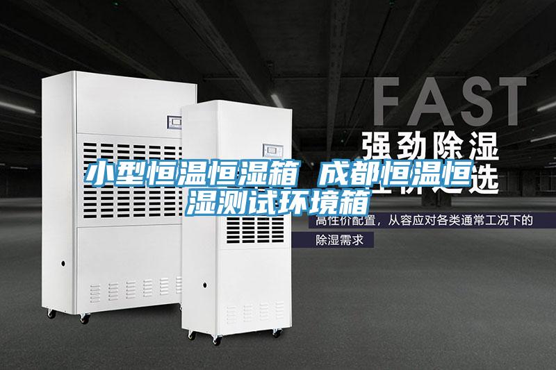 小型恒溫恒濕箱 成都恒溫恒濕測試環境箱