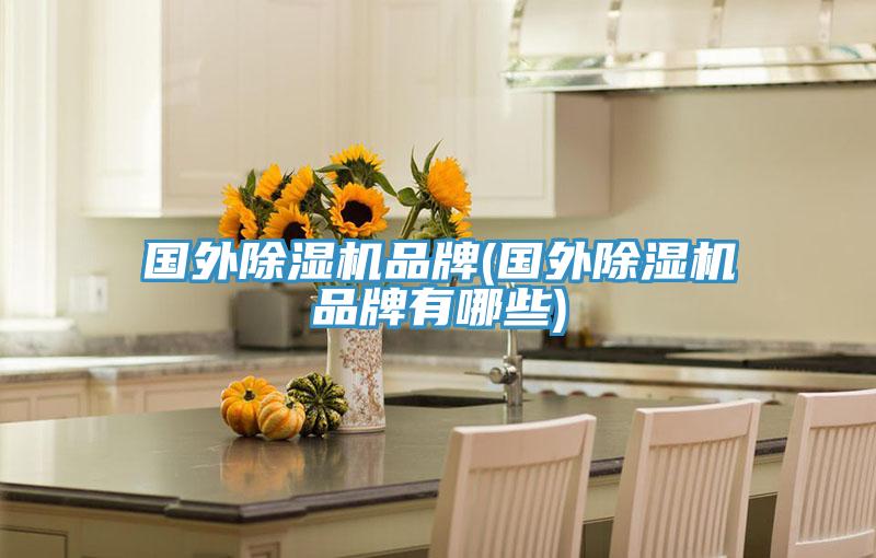 國外除濕機品牌(國外除濕機品牌有哪些)