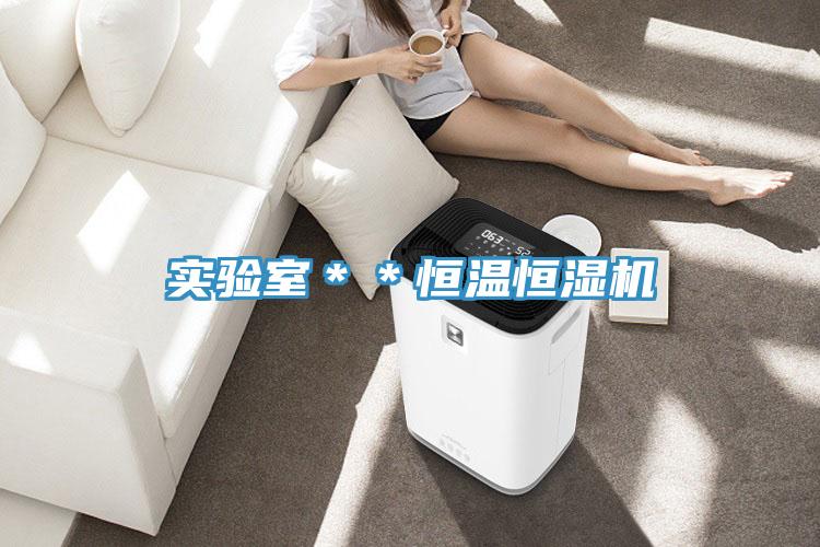 實(shí)驗(yàn)室＊＊恒溫恒濕機(jī)