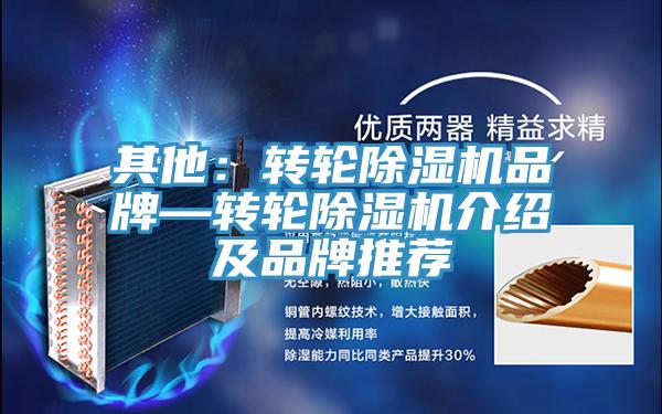 其他：轉(zhuǎn)輪除濕機(jī)品牌—轉(zhuǎn)輪除濕機(jī)介紹及品牌推薦