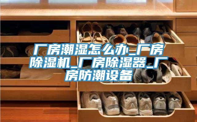 廠房潮濕怎么辦_廠房除濕機_廠房除濕器_廠房防潮設備