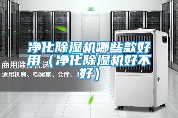 凈化除濕機哪些款好用（凈化除濕機好不好）