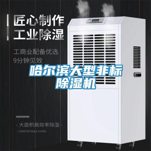 哈爾濱大型非標除濕機