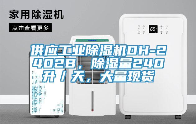 供應(yīng)工業(yè)除濕機(jī)DH-2402B，除濕量240升／天，大量現(xiàn)貨