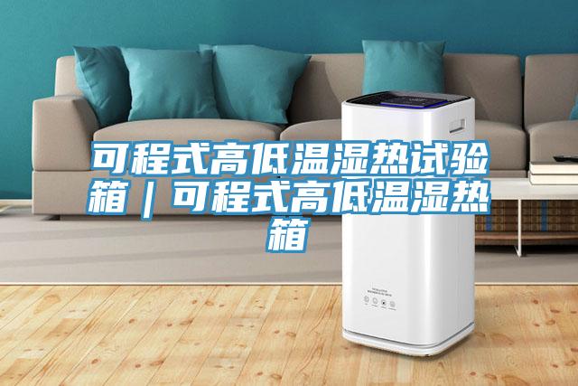 可程式高低溫濕熱試驗箱|可程式高低溫濕熱箱