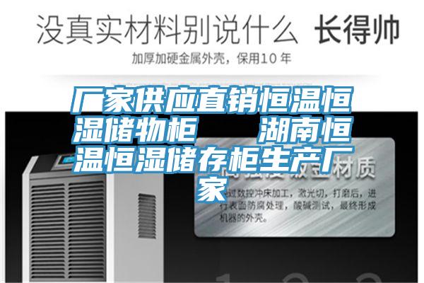 廠家供應直銷恒溫恒濕儲物柜   湖南恒溫恒濕儲存柜生產廠家
