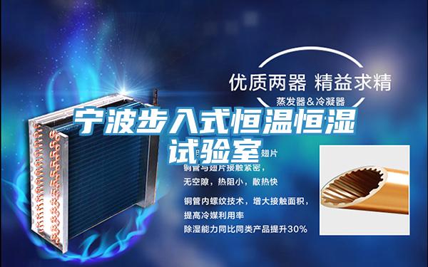 寧波步入式恒溫恒濕試驗室