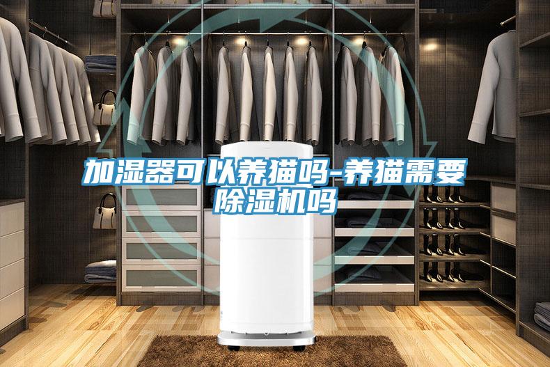 加濕器可以養貓嗎-養貓需要除濕機嗎