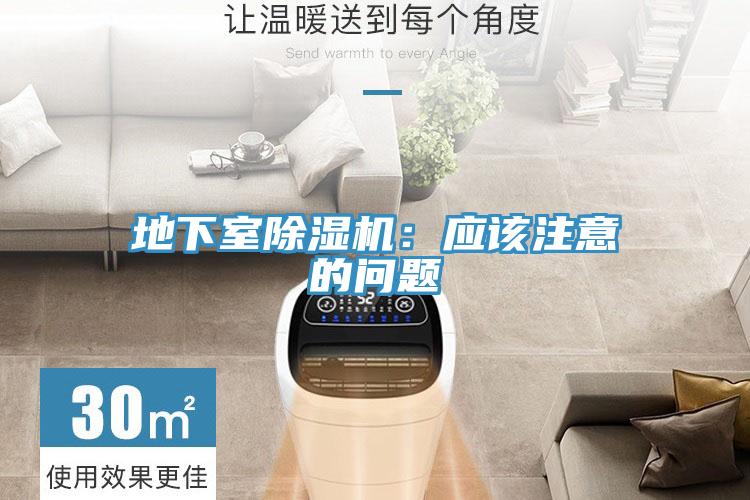 地下室除濕機：應該注意的問題