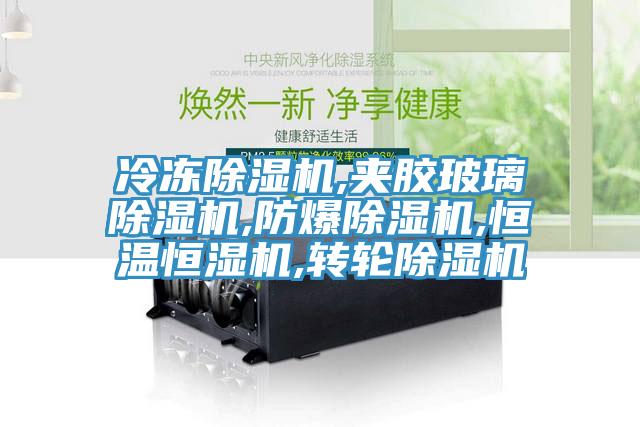 冷凍除濕機,夾膠玻璃除濕機,防爆除濕機,恒溫恒濕機,轉輪除濕機