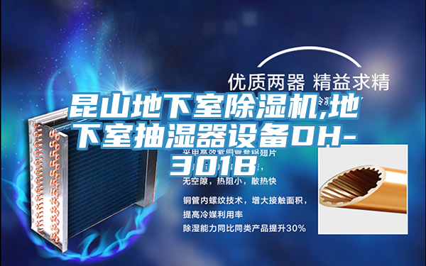 昆山地下室除濕機(jī),地下室抽濕器設(shè)備DH-301B