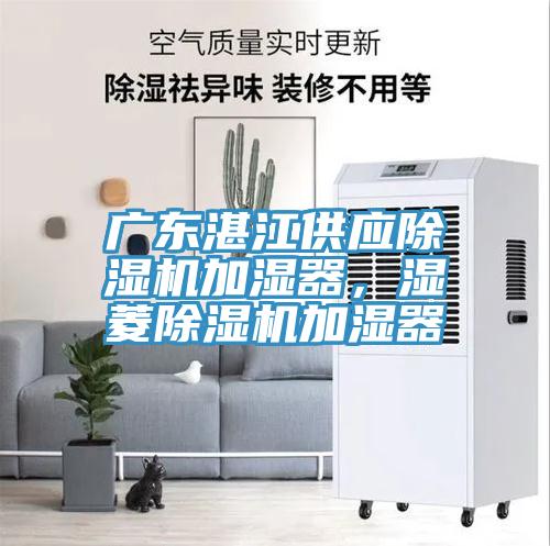 廣東湛江供應除濕機加濕器，濕菱除濕機加濕器