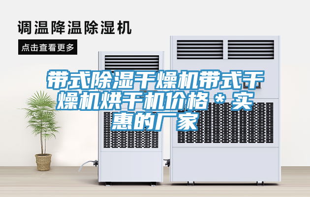 帶式除濕干燥機(jī)帶式干燥機(jī)烘干機(jī)價格＊實惠的廠家