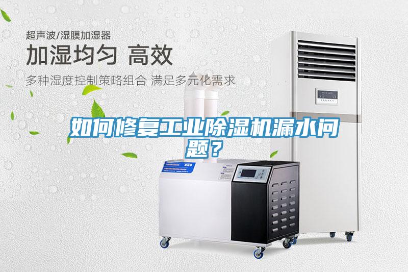 如何修復工業除濕機漏水問題？