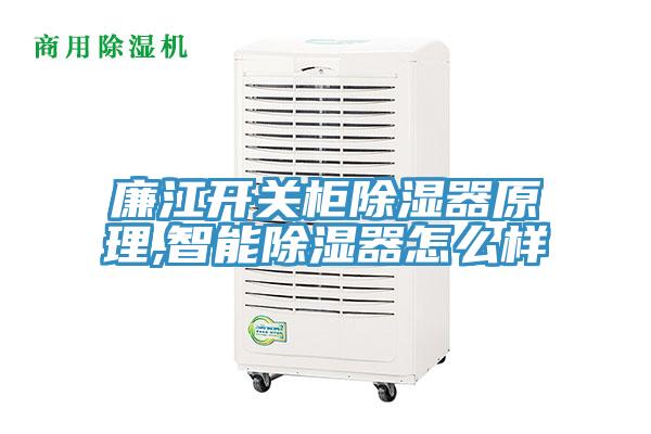 廉江開關柜除濕器原理,智能除濕器怎么樣