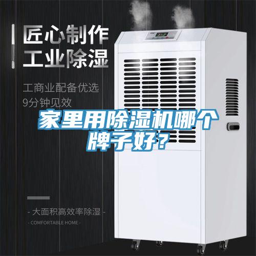 家里用除濕機哪個牌子好？