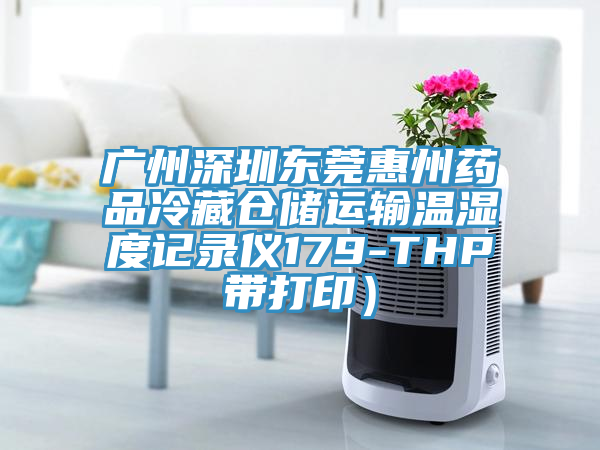 廣州深圳東莞惠州藥品冷藏倉儲運(yùn)輸溫濕度記錄儀179-THP帶打印）