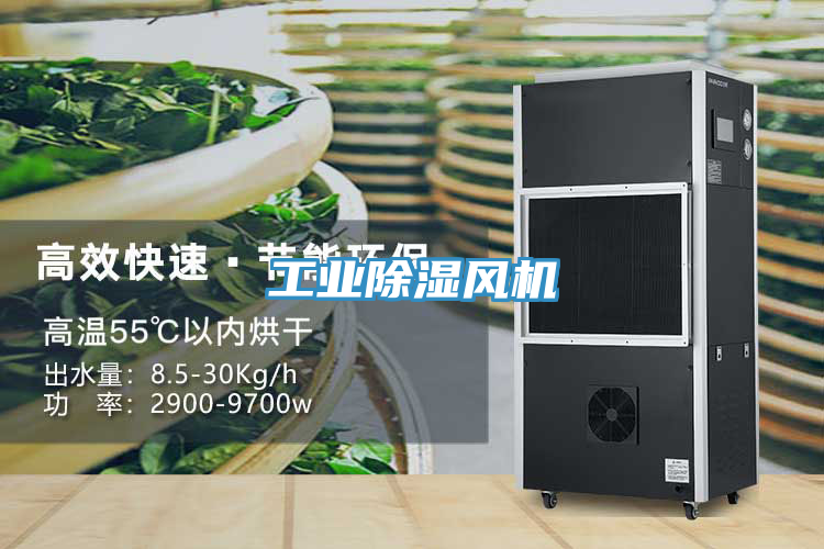 工業(yè)除濕風(fēng)機(jī)
