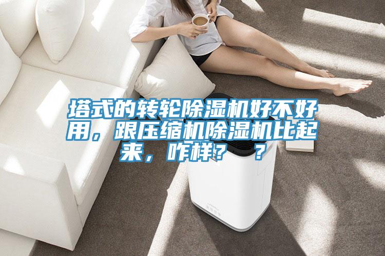 塔式的轉輪除濕機好不好用，跟壓縮機除濕機比起來，咋樣？ ？