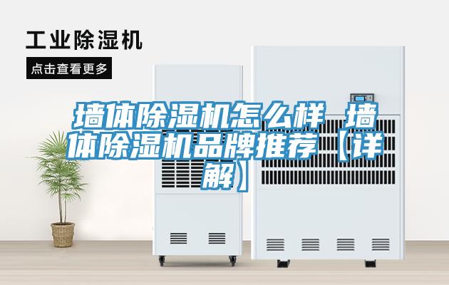 墻體除濕機怎么樣 墻體除濕機品牌推薦【詳解】