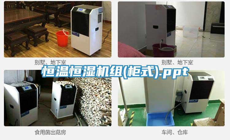 恒溫恒濕機組(柜式).ppt