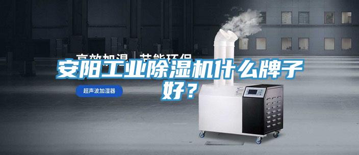 安陽工業除濕機什么牌子好？
