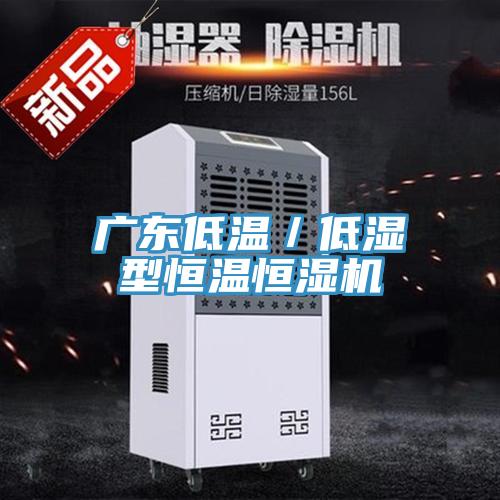 廣東低溫／低濕型恒溫恒濕機(jī)