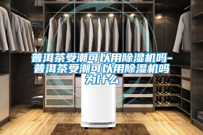 普洱茶受潮可以用除濕機(jī)嗎-普洱茶受潮可以用除濕機(jī)嗎為什么