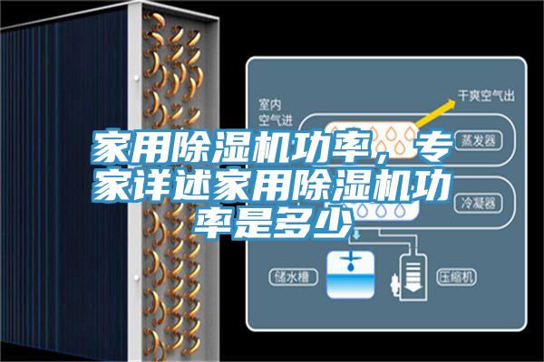 家用除濕機功率，專家詳述家用除濕機功率是多少