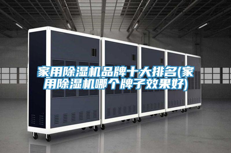 家用除濕機品牌十大排名(家用除濕機哪個牌子效果好)