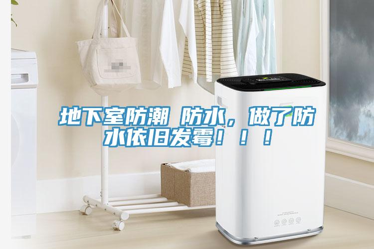 地下室防潮≠防水,做了防水依舊發霉!!!