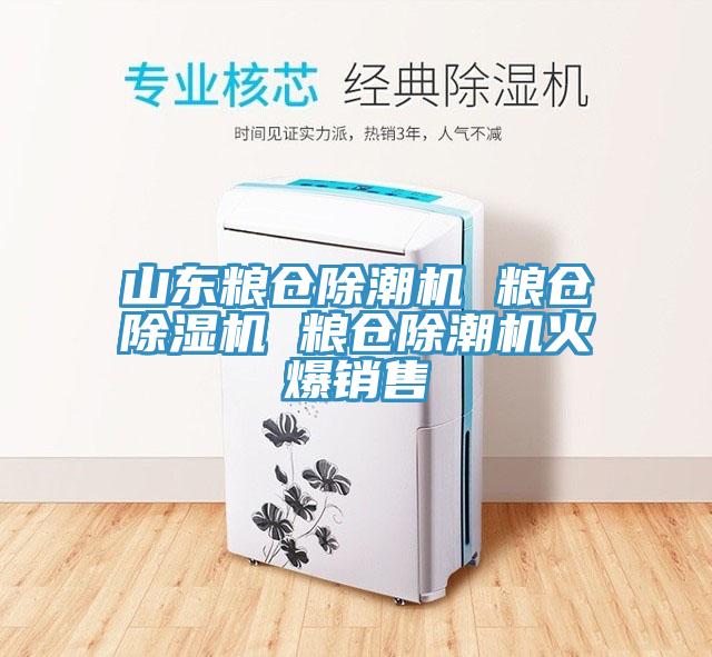 山東糧倉除潮機 糧倉除濕機 糧倉除潮機火爆銷售