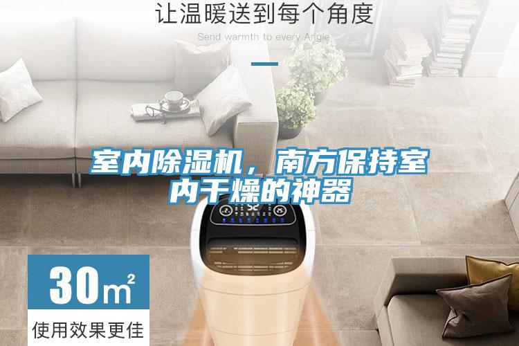 室內除濕機，南方保持室內干燥的神器