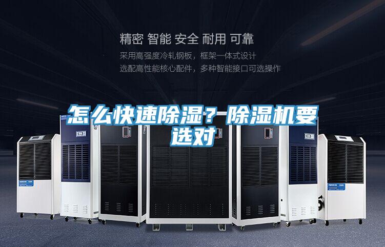 怎么快速除濕？除濕機要選對