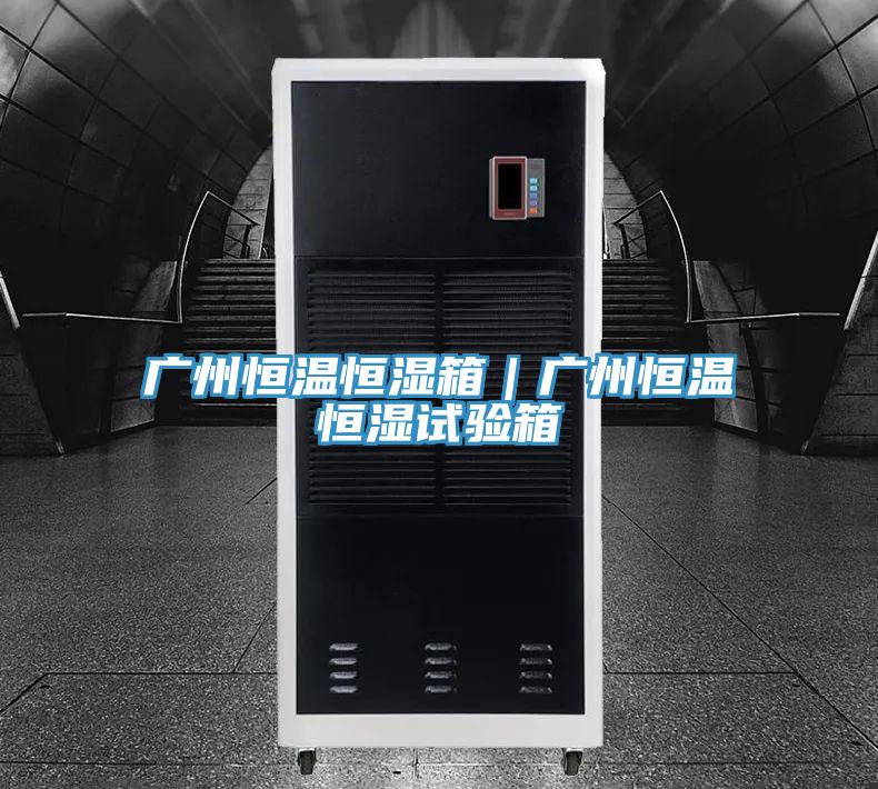 廣州恒溫恒濕箱｜廣州恒溫恒濕試驗箱