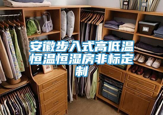 安徽步入式高低溫恒溫恒濕房非標定制