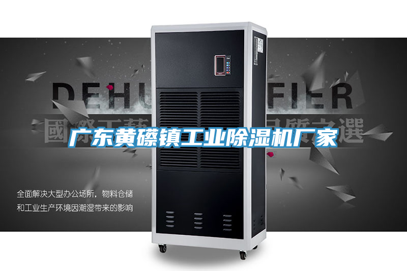 廣東黃礤鎮(zhèn)工業(yè)除濕機廠家