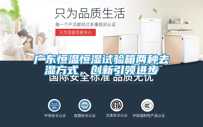 廣東恒溫恒濕試驗(yàn)箱兩種去濕方式,創(chuàng)新引領(lǐng)進(jìn)步