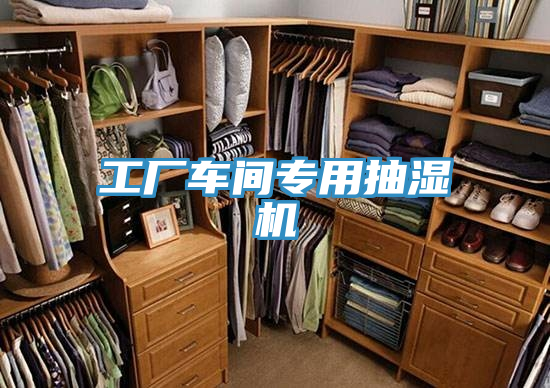 工廠車間專用抽濕機
