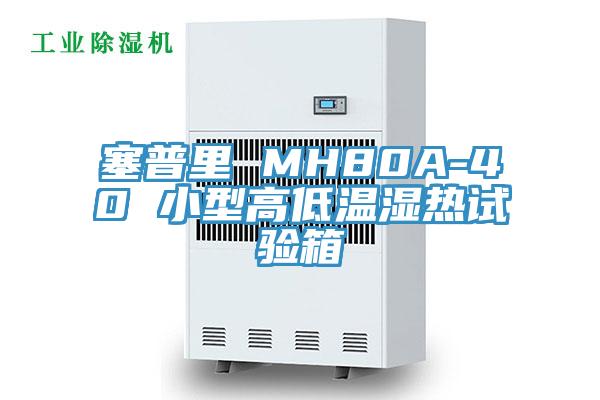 塞普里 MH80A-40 小型高低溫濕熱試驗箱