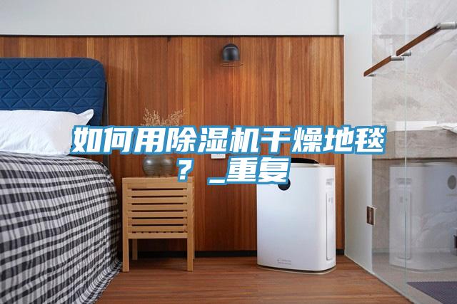 如何用除濕機干燥地毯？_重復