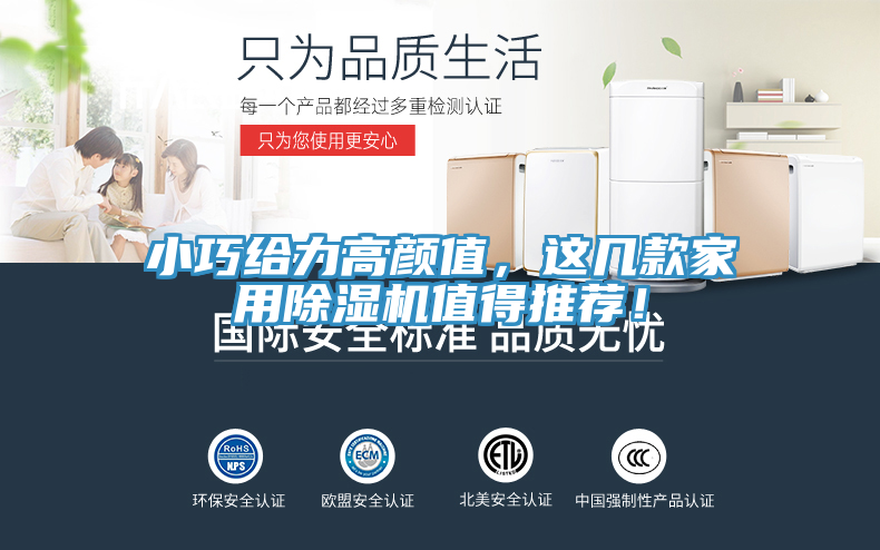 小巧給力高顏值，這幾款家用除濕機(jī)值得推薦！