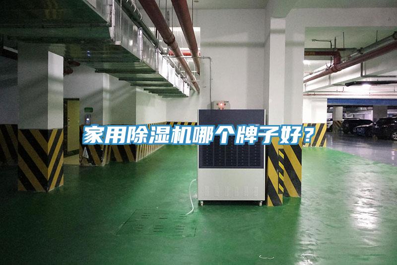 家用除濕機哪個牌子好？