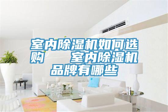 室內除濕機如何選購 室內除濕機品牌有哪些