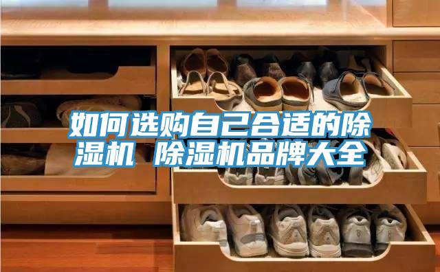 如何選購自己合適的除濕機 除濕機品牌大全