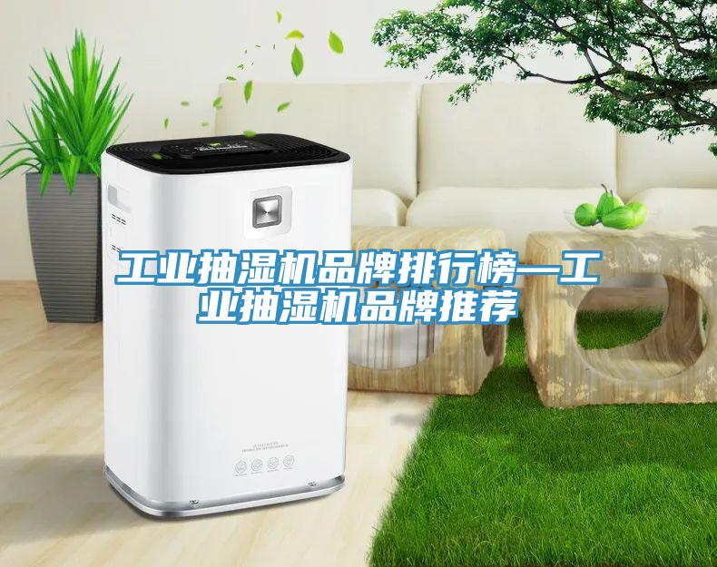 工業抽濕機品牌排行榜—工業抽濕機品牌推薦