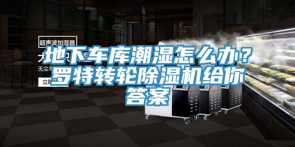 地下車庫潮濕怎么辦？羅特轉輪除濕機給你答案