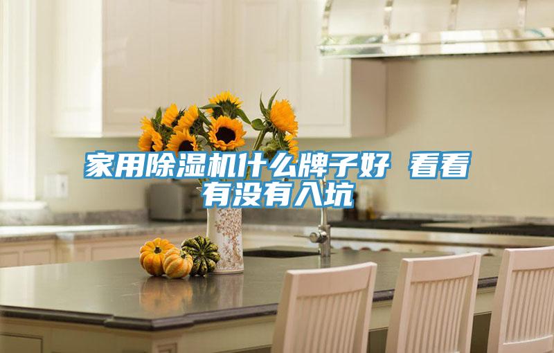 家用除濕機什么牌子好 看看有沒有入坑